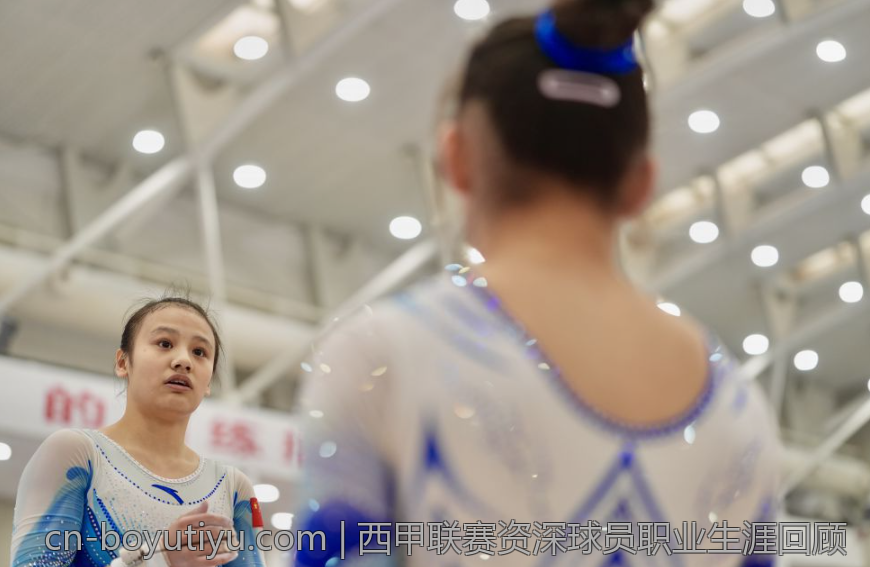 西甲联赛资深球员职业生涯回顾