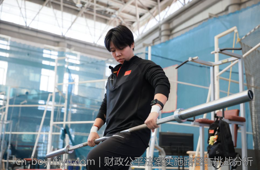 财政公平法案实施路径与挑战分析