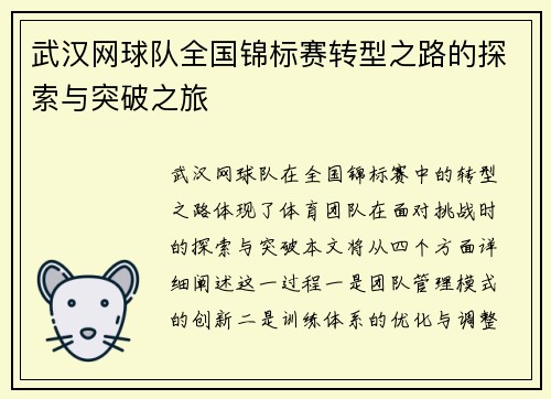 武汉网球队全国锦标赛转型之路的探索与突破之旅