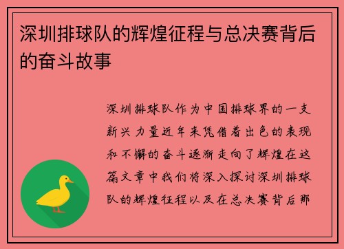 深圳排球队的辉煌征程与总决赛背后的奋斗故事